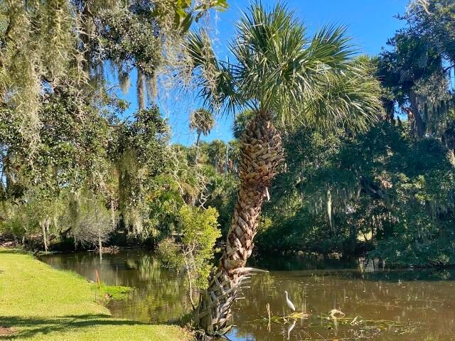 1206 Jungle Rd, Edisto Island, SC 29438