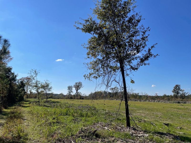 4 Hwy 27, Ridgeville, SC 29472