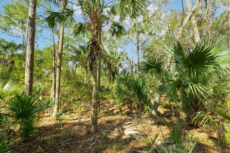 107 Blue Heron Pond Rd, Kiawah Island, SC 29455
