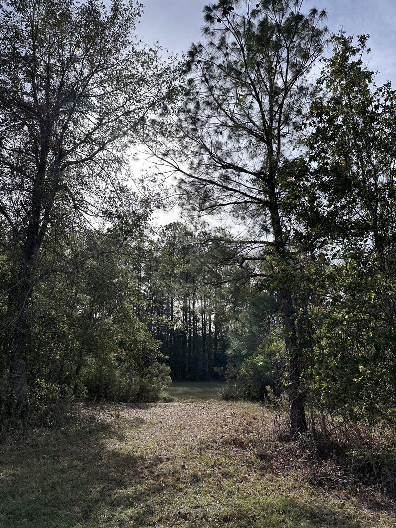 0 Breaker Pine Rd, Bowman, SC 29018