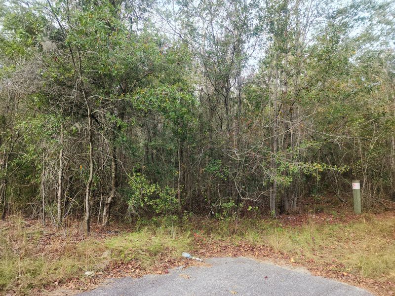 1 Dennis Britt Rd, Saint George, SC 29477