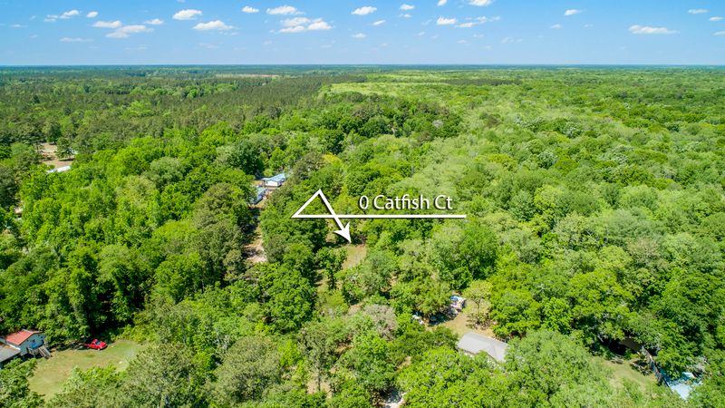0 Catfish Ln, Ridgeville, SC 29472