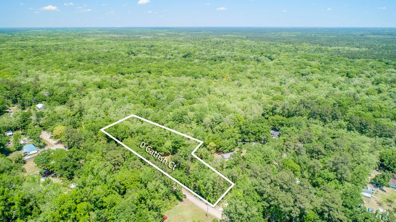 0 Catfish Ln, Ridgeville, SC 29472