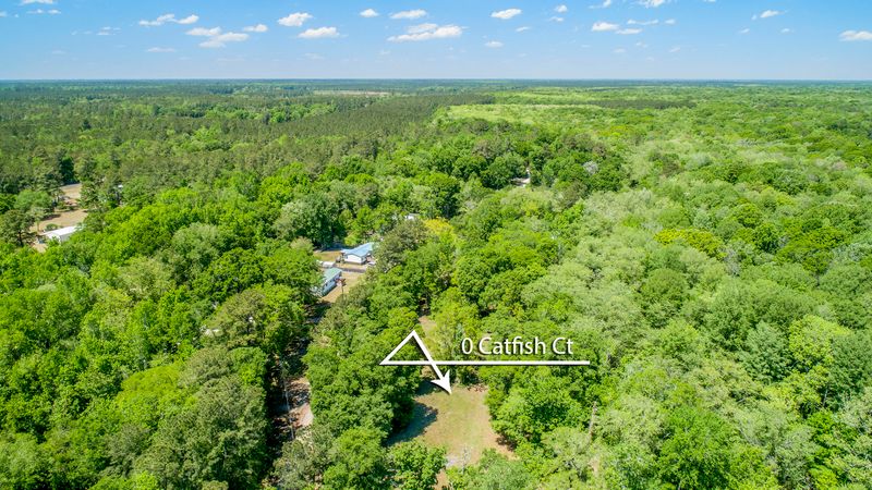 0 Catfish Ln, Ridgeville, SC 29472