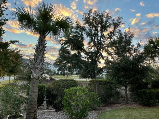 1629 Prince Edward St, Mount Pleasant, SC 29466