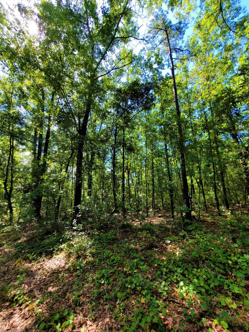 0 Garrett Acres Ln, Moncks Corner, SC 29461