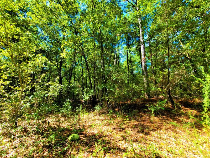 0 Garrett Acres Ln, Moncks Corner, SC 29461