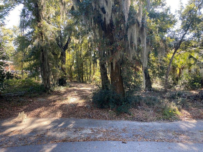 187 4th Ave, Mount Pleasant, SC 29464