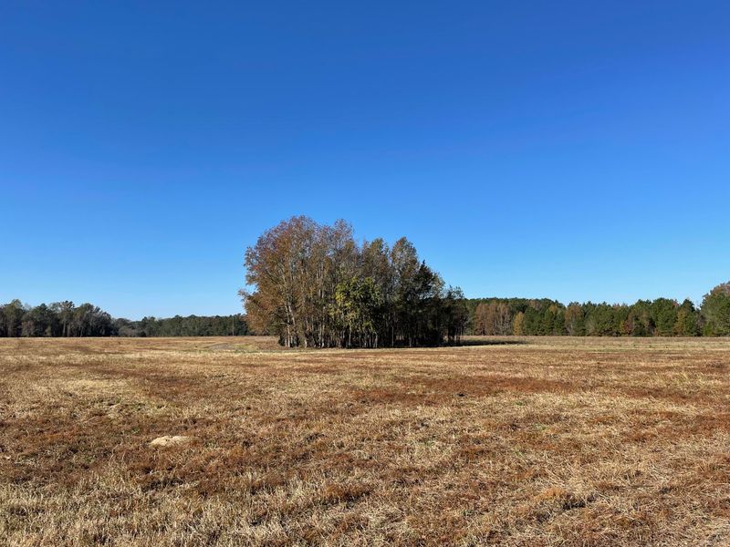 0 Highway 27, Ridgeville, SC 29472