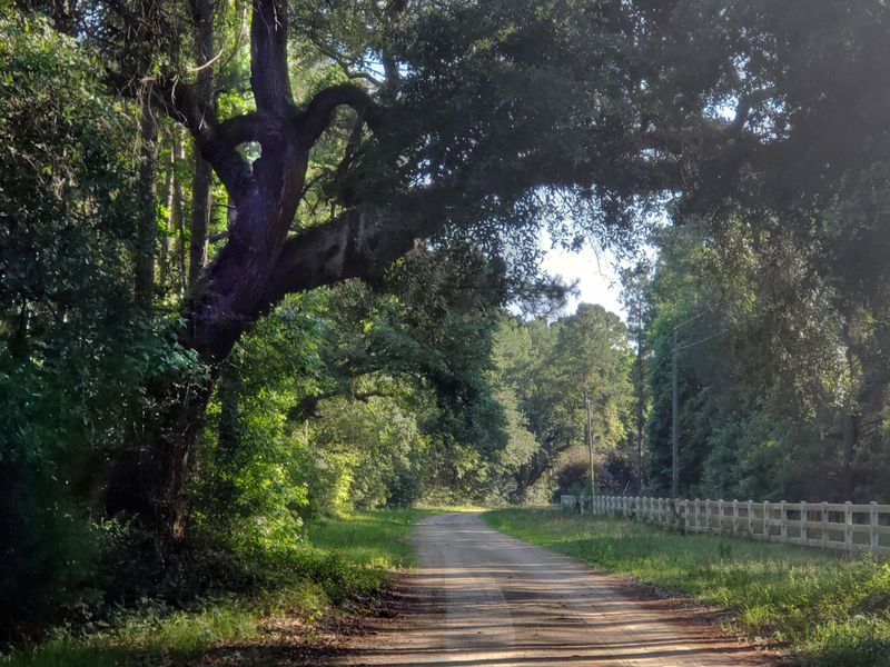 0 Placid Dr, Mcclellanville, SC 29458