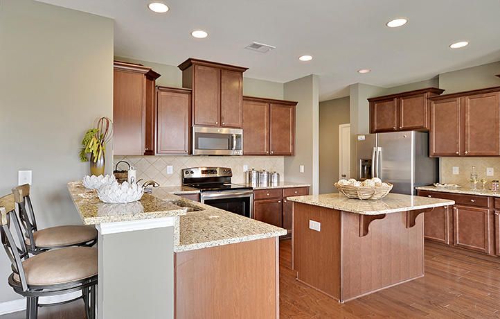 127 Camellia Bloom Dr, Moncks Corner, SC 29461