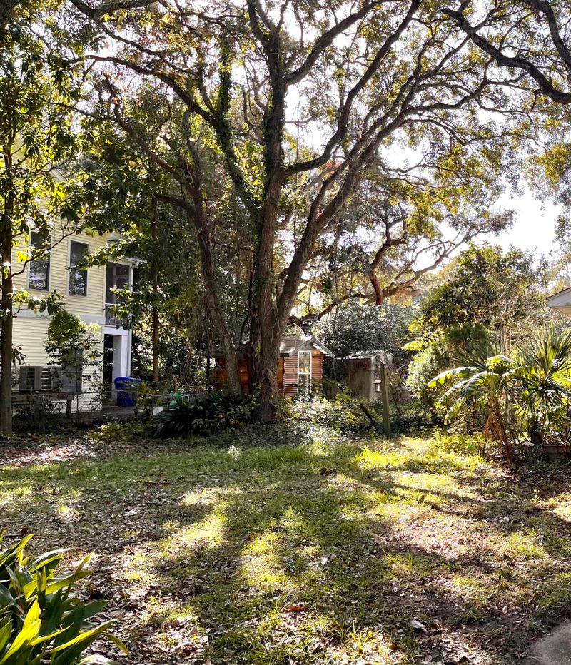 1427 Hindman Ave, Mount Pleasant, SC 29464