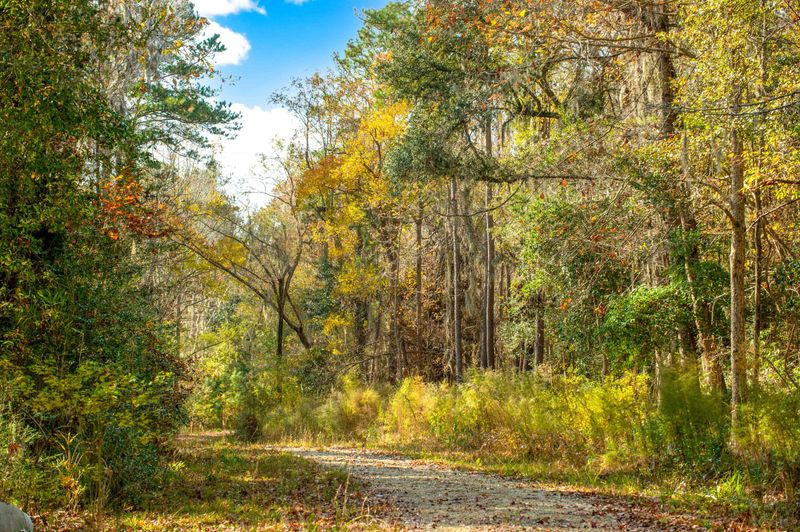 0 Point Comfort Rd, Moncks Corner, SC 29461