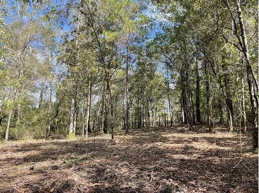 10 Hwy 27, Ridgeville, SC 29472
