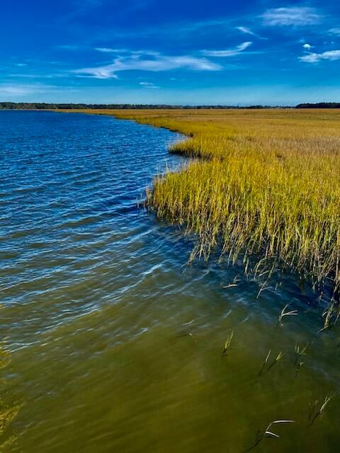 2685 Burden Creek Rd, Johns Island, SC 29455