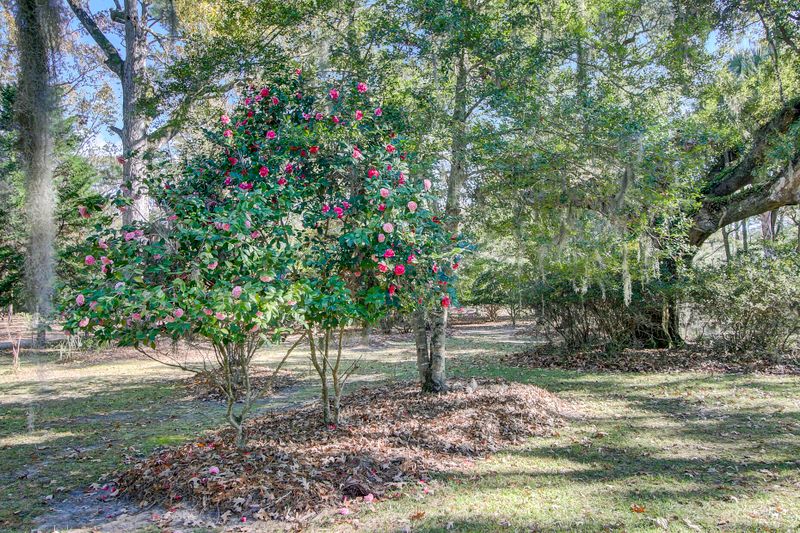 4252 Cloudmont Dr, Hollywood, SC 29449