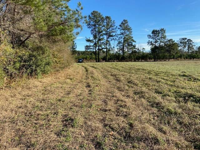 1137 St Mark Bowman Rd, Saint George, SC 29477
