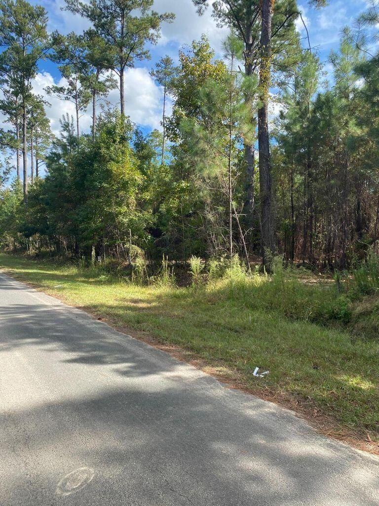 8012 Old Jacksonboro Rd, Adams Run, SC 29426