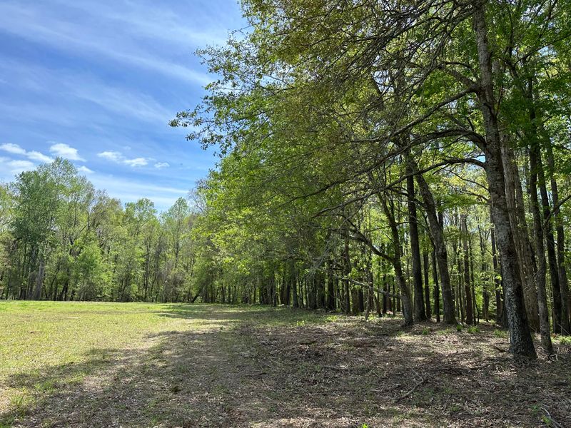 00 Highway 27, Ridgeville, SC 29472