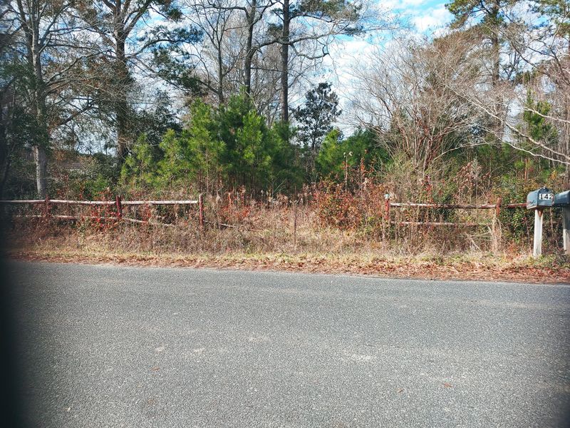 141 O T Wallace Dr, Summerville, SC 29483