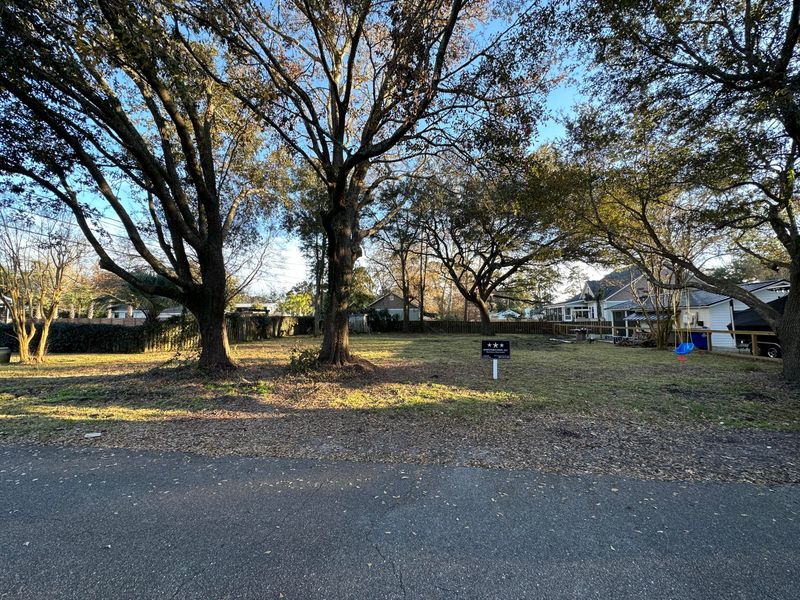 1611 Cuthbert St, Charleston, SC 29412