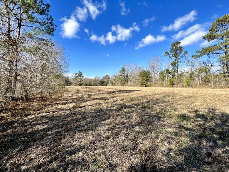 640 Dennis Ridge Rd, Bonneau, SC 29431