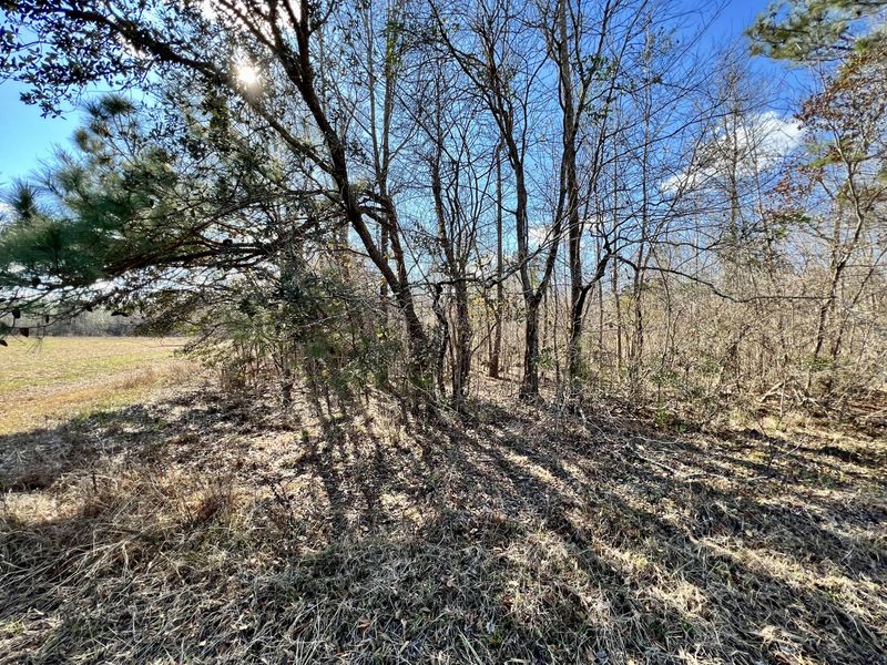 640 Dennis Ridge Rd, Bonneau, SC 29431