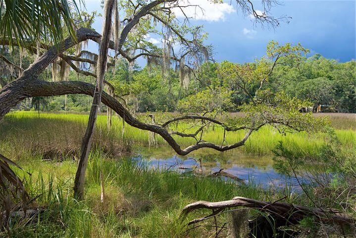 2386 Loafers Glory Ln, Edisto Island, SC 29438
