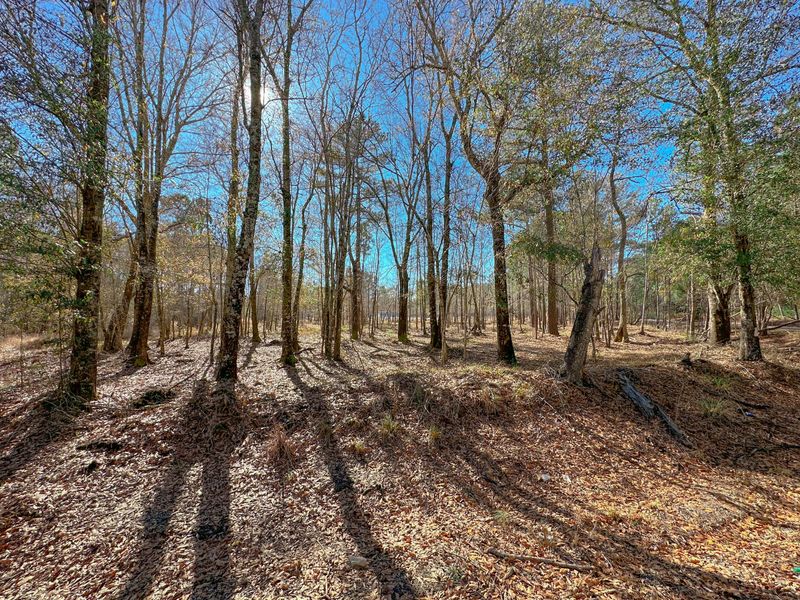 160 Wisteria Falls Trl, Saint Stephen, SC 29479