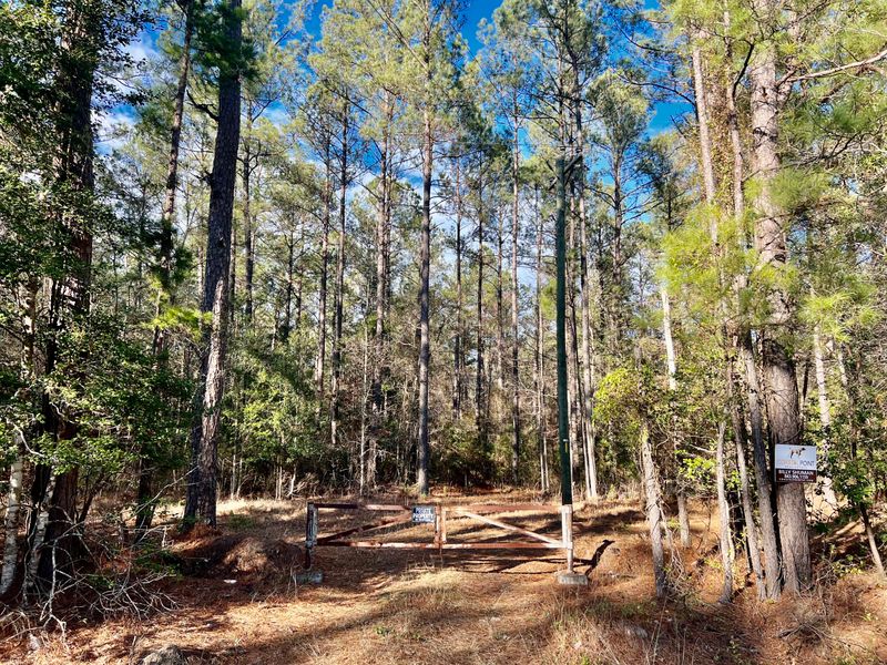 0 N Highway 17a, Jamestown, SC 29453