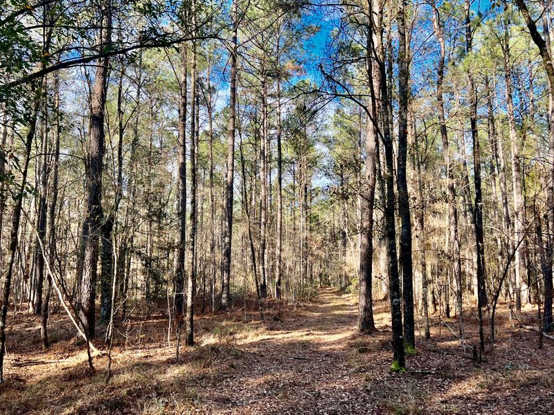 0 N Highway 17a, Jamestown, SC 29453