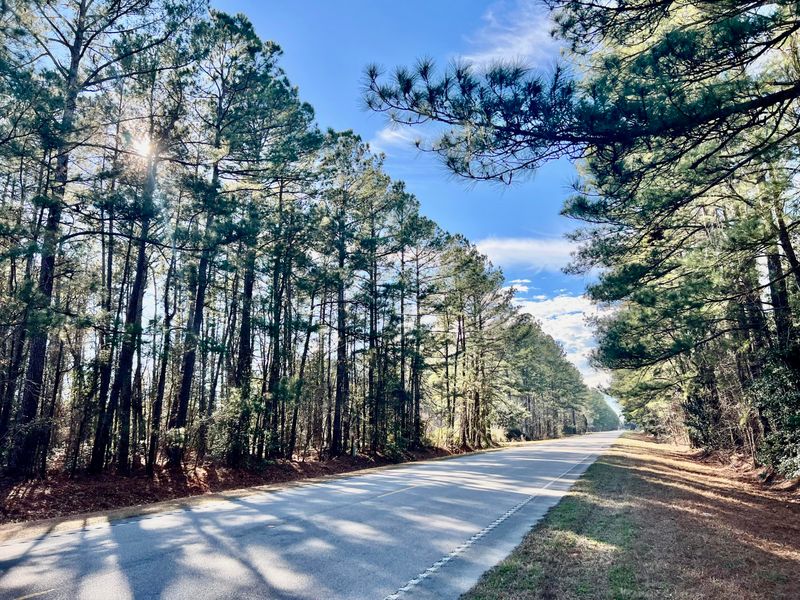 0 N Highway 17a, Jamestown, SC 29453