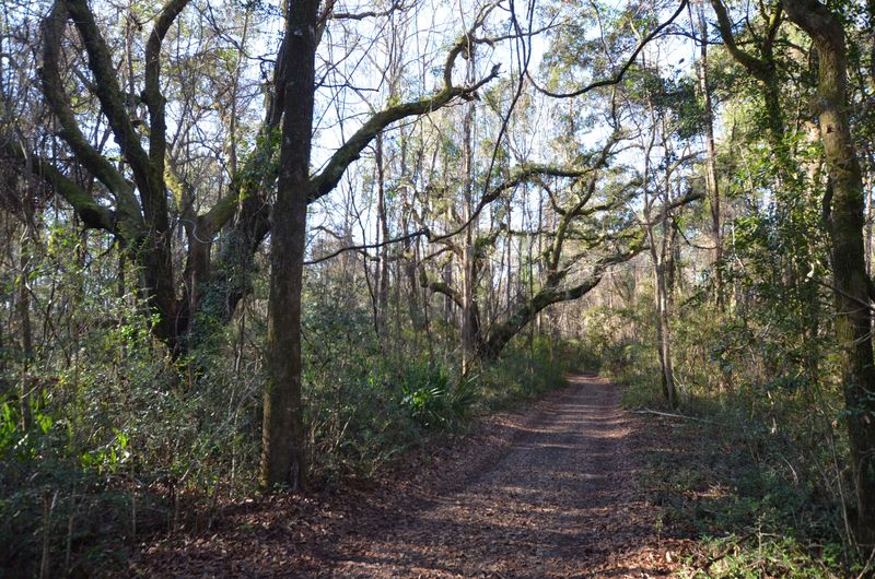 1883 Old Collins Creek Rd, Mcclellanville, SC 29458