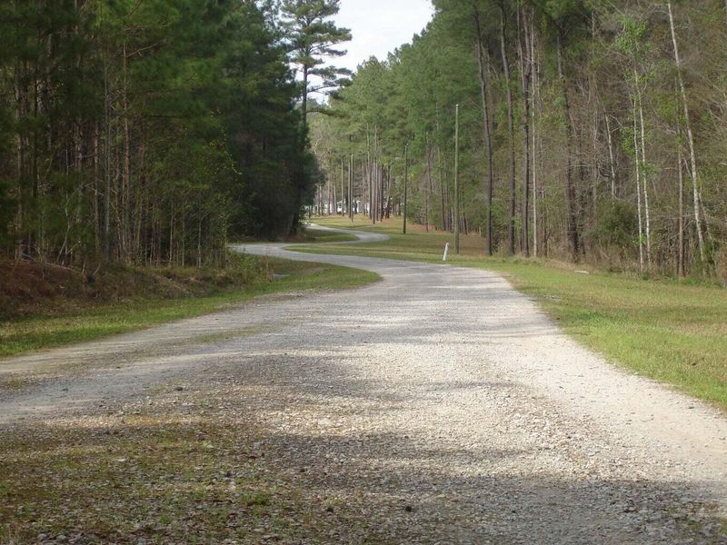 6215 Beaver Dm Rd, Adams Run, SC 29426