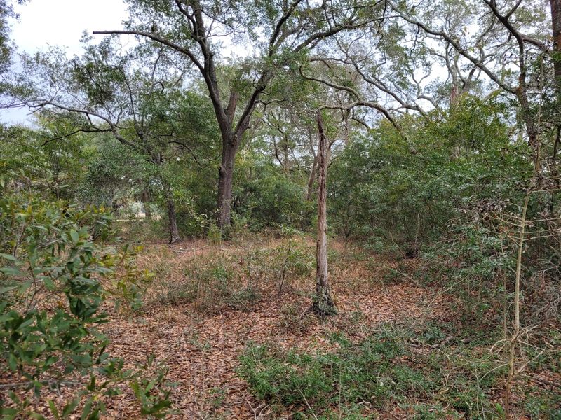 1080 Chokecherry Ln, Rockville, SC 29732