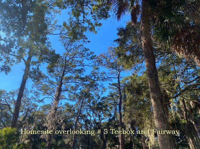 2 Club Cottage Rd, Edisto Beach, SC 29438