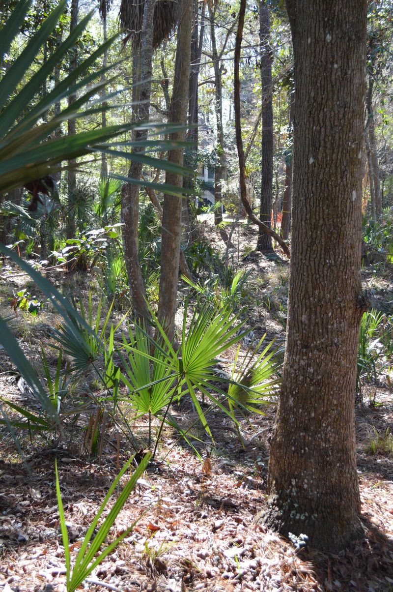 3107 Baywood Dr, Seabrook Island, SC 29455