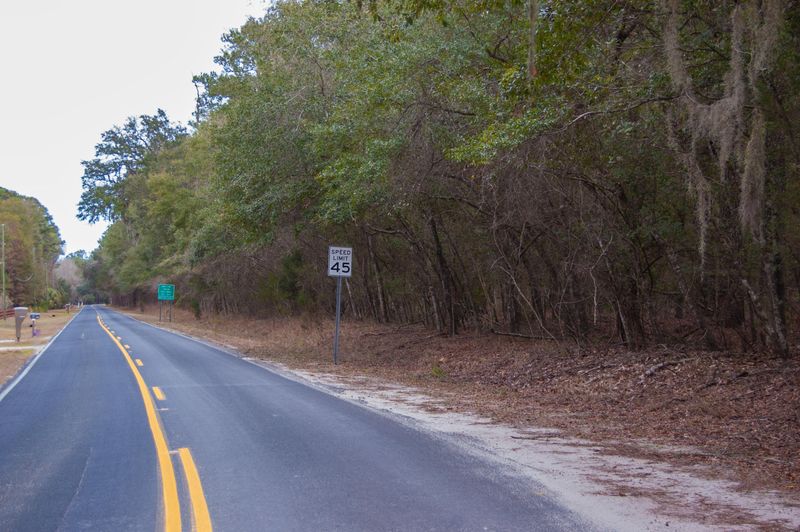 8373 Palmetto Rd, Edisto Island, SC 29438