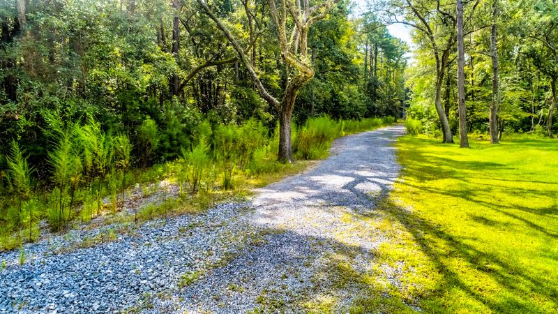 6317 Button Bush Dr, Ravenel, SC 29470