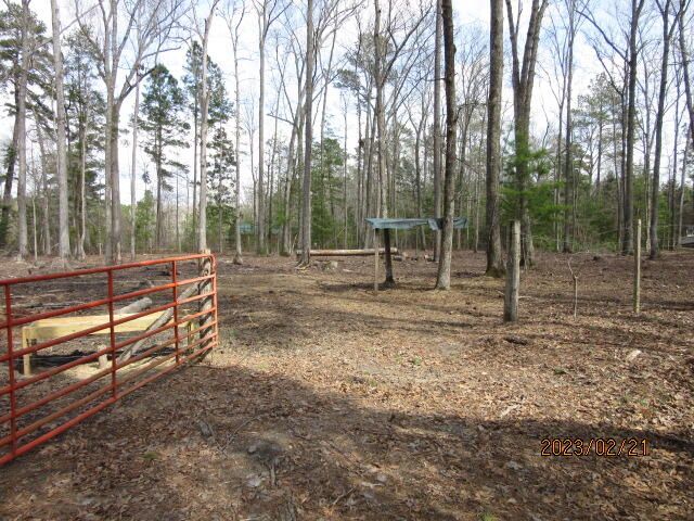 5628 Mauss Hill Rd, Adams Run, SC 29426