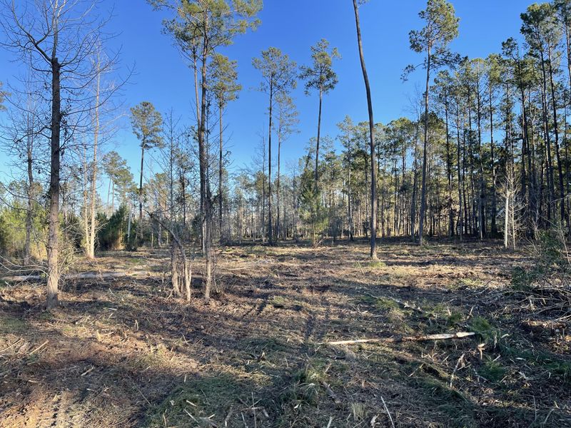 0 Countryside Way Lot 3, Summerville, SC 29483