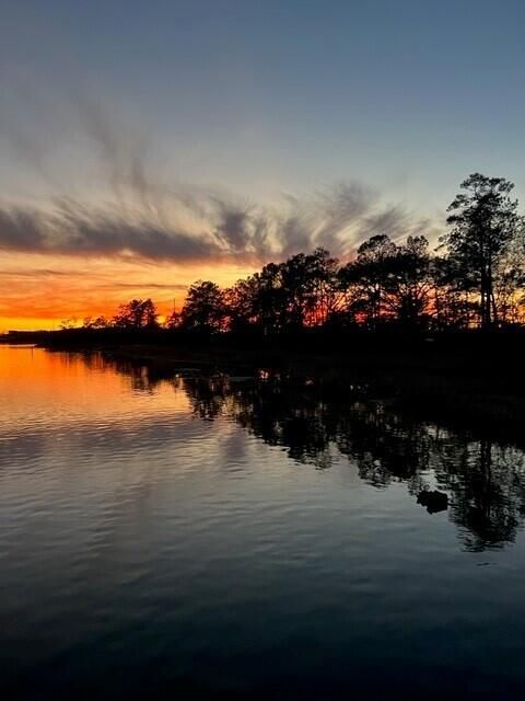 404 Blowing Fresh Dr, Charleston, SC 29492