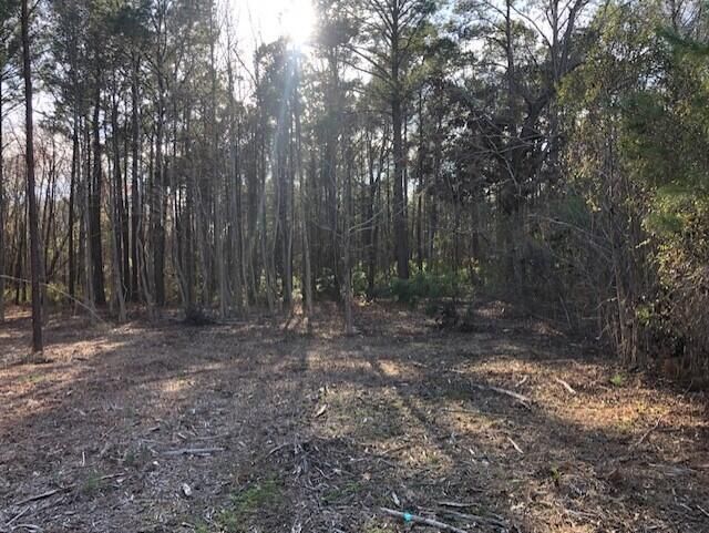 8 Milcrest Dr, Awendaw, SC 29429