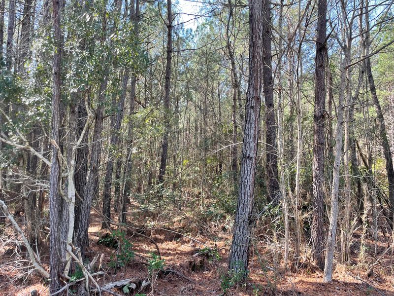 0 George Wigfall Rd, Cross, SC 29436