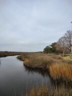 1123 Saltwater Cir, Johns Island, SC 29455