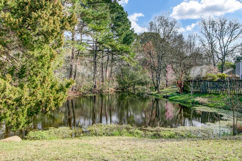 2423 Castlereagh Rd, Charleston, SC 29414