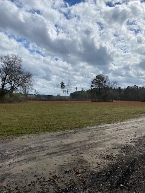01 St Mark Bowman Rd, Saint George, SC 29477