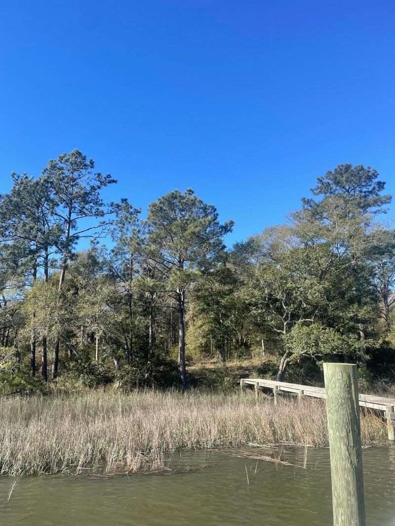 6652 Bloody Point Rd, Wadmalaw Island, SC 29487