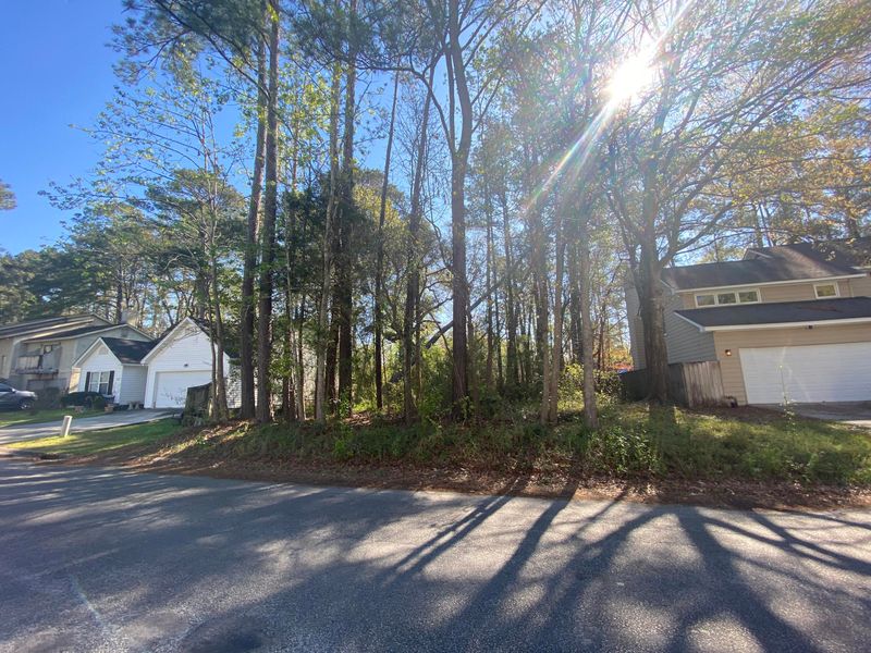 121 Lewisfield Dr, Charleston, SC 29418