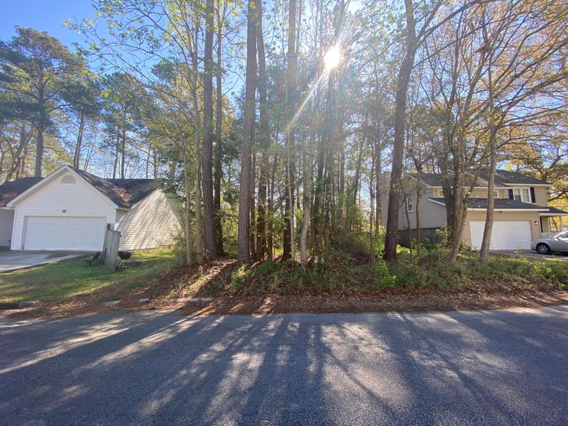 121 Lewisfield Dr, Charleston, SC 29418